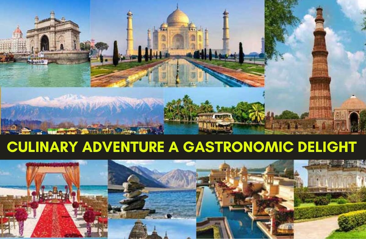 Travel Culinary Adventure